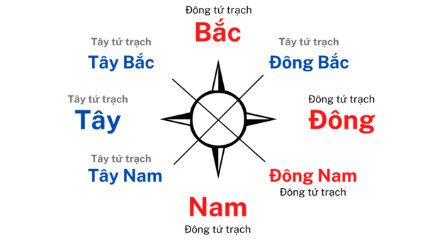 dong-tu-trach-bao-gom-nhung-huong-nao-2